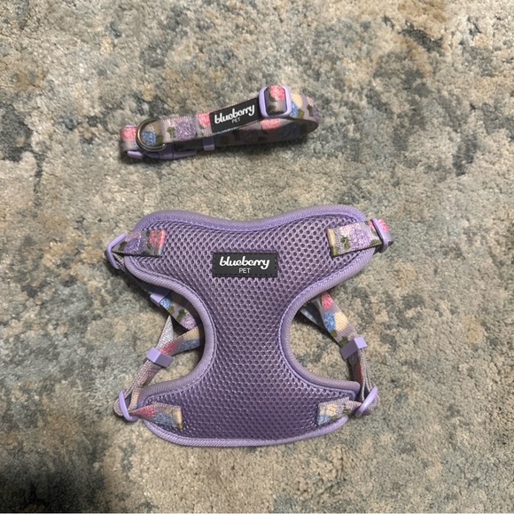 Blueberry Pet Rose Flower Print Padded Dog Harness Vest + Collar - Picture 1 of 8